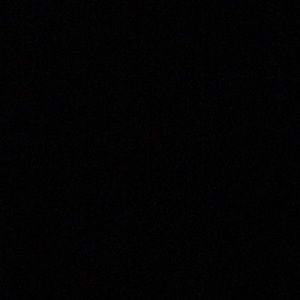 Meet your Posher, Reese